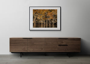 Orange Autumn Cypress Trees and Water Landscape Photography