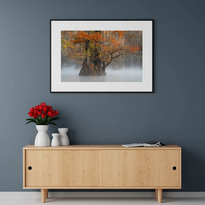 dreamlike wall art with ethereal long exposure and gentle motion