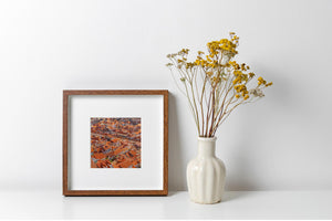Lush detail of Dubrovnik Croatia Orange Roofs at dusk