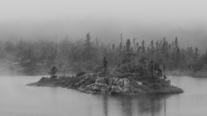 Foggy Newfoundland lake with conifer covered island