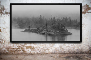 Layered Newfoundland forest fading into dense fog