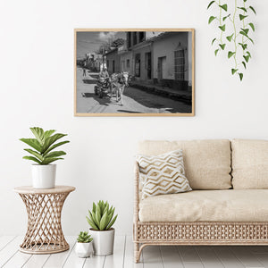 Traditional horse carriage on a Cuban street