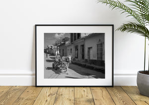Street scene with horse drawn carriage and colonial buildings