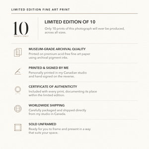 Limited edition fine art photography print information: edition of 10, signed by Dan Kosmayer, printed on archival fine art paper.