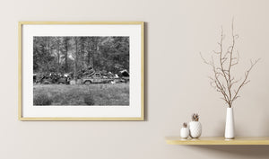 Northern Ontario automotive scrapyard photographed in black and white