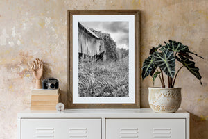 Weathered barn rising above tangled grass beneath cloudy skies