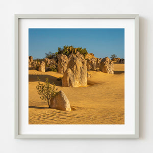 Pinnacles Desert limestone formations rising from golden sand in Nambung National Park