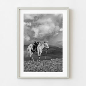 Black and white photograph of a saddled horse in Mongolia