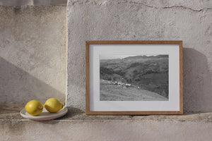 Monochrome pastoral scene of grazing sheep and layered Romanian hills