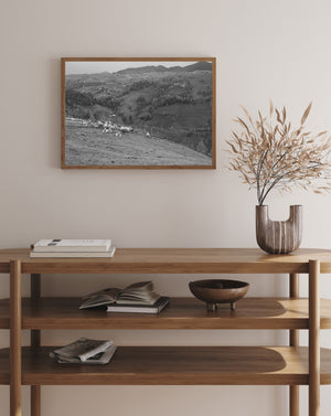 Sheep on hillside pasture overlooking farmland and wooded valleys