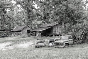 Old tow truck and damaged vehicles beneath trees along a Southern backroad.