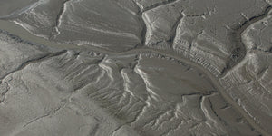 Overhead photograph of Alaska coastal flats patterned with a broad curved channel and smaller grooves.