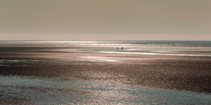 Alaskan Coastal Sunset Seascape with Majestic Brown Bears | Photo Art Print fine art photographic print