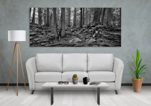 Árboles y rocas del bosque Haliburton en Algonquin Park | Foto Impresión de arte Fine Art impresión fotográfica