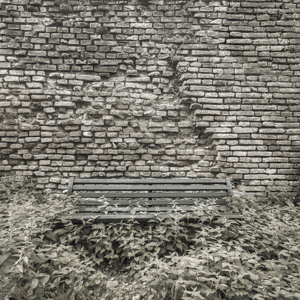 Tuscan Ancient Wall and Overgrown Bench | Photo Art Print fine art photographic print