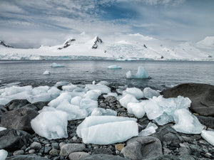 Scattered ice blocks and boulders along an Antarctic shoreline.