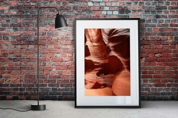 Vibrant Antelope Canyon Wall and Lone Bush | Photo Art Print fine art photographic print