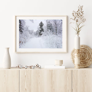 Beautiful snow covered forest and snowmobile trail | Photo Art Print fine art photographic print