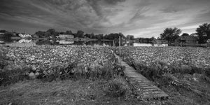 Beautiful sunrise over a river in Hamilton Indiana | Photo Art Print fine art photographic print