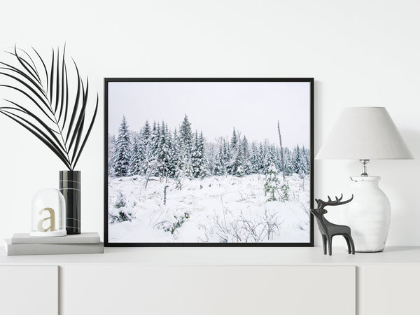 Beautiful winter landscape Haliburton Highlands | Photo Art Print fine art photographic print