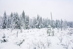 Beautiful winter landscape Haliburton Highlands | Photo Art Print fine art photographic print