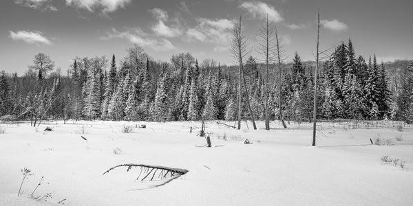 Beautiful winter scene in Haliburton Ontario | Photo Art Print fine art photographic print
