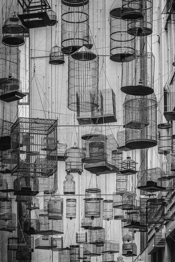 Birdcages in the sky  | Photo Art Print fine art photographic print