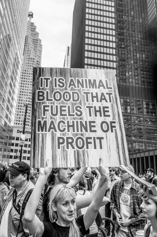 Blood fuels profit protest sign at G20 Summit Toronto Canada | Photo Art Print fine art photographic print