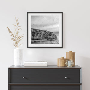 Monochrome coastal photograph of layered cliffs and seabirds in Quebec