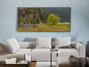 Panoramic British Columbia landscape with a lone tree, rough grass and a rocky cliff.