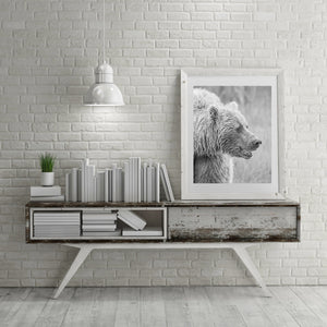 Long fur and a dark muzzle define a monochrome brown bear portrait.