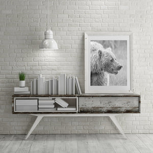 Brown bear looks off to the side | Photo Art Print fine art photographic print