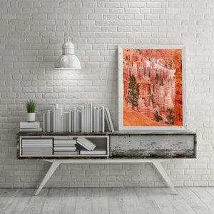 Bryce Canyon Muur met pijnbomen | Foto Kunstprint Fine Art fotografische afdruk