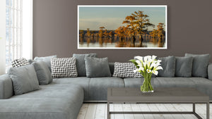 Wide lake landscape with golden cypress branches and gently rippled reflections.