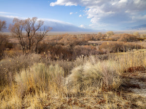 Sunlit dry grasses and bare shrubs fill an open landscape below distant mountain ridges.