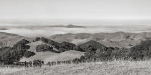 Dichter Nebel über der kalifornischen Landschaft | Foto Kunstdruck Fine Art Fotodruck
