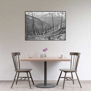 Rocky Mountain Wald | Foto Kunstdruck Fine Art Fotodruck