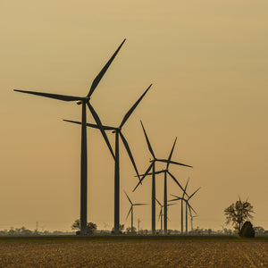 A row of wind turbines recedes across a Canadian landscape in warm golden light.