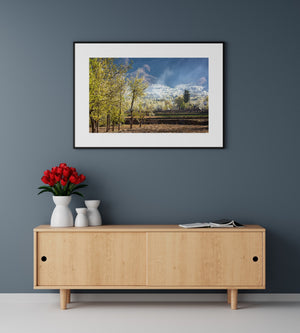 Cherry Blossom Tree in China | Photo Art Print fine art photographic print