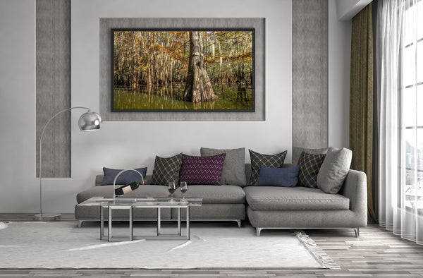 Clear lake cypress trees | Photo Art Print fine art photographic print