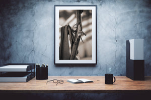 Closeup of 18th century musket with American flag background | Photo Art Print fine art photographic print