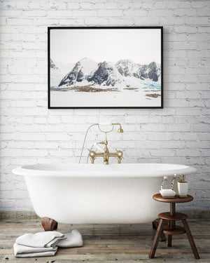 Colony of Gentoo penguins Antarctica mountain | Photo Art Print fine art photographic print