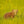 Cute Brown Bear Cub in the Grass | Photo Art Print fine art photographic print