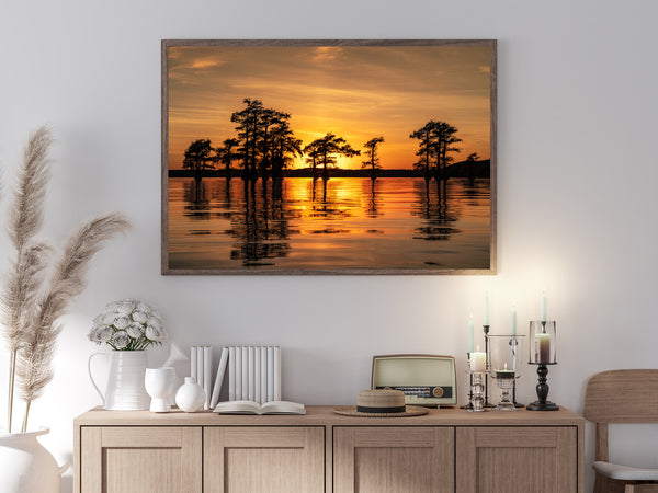 Cypress Trees on Caddo Lake at Sunset | Photo Art Print fine art photographic print