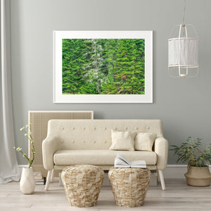 Dead tree against lush forest | Photo Art Print fine art photographic print