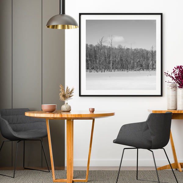 Dead trees over frozen swamp Haliburton Ontario | Photo Art Print fine art photographic print