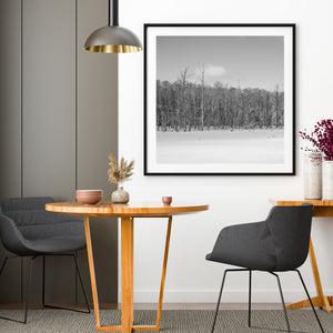 Dead trees over frozen swamp Haliburton Ontario | Photo Art Print fine art photographic print