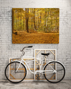 Deep in Northern Ontario forest in the fall | Photo Art Print fine art photographic print