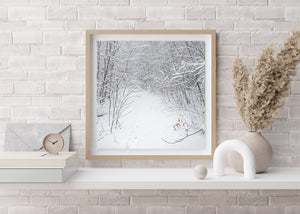 Deer Footpath in forest after snowstorm | Photo Art Print fine art photographic print