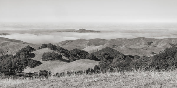 Dense fog over the California landscape | Photo Art Print fine art photographic print